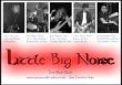 Little Big Noise