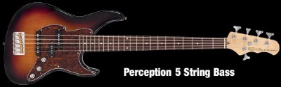 Fret-King Black Label series to be launched soon